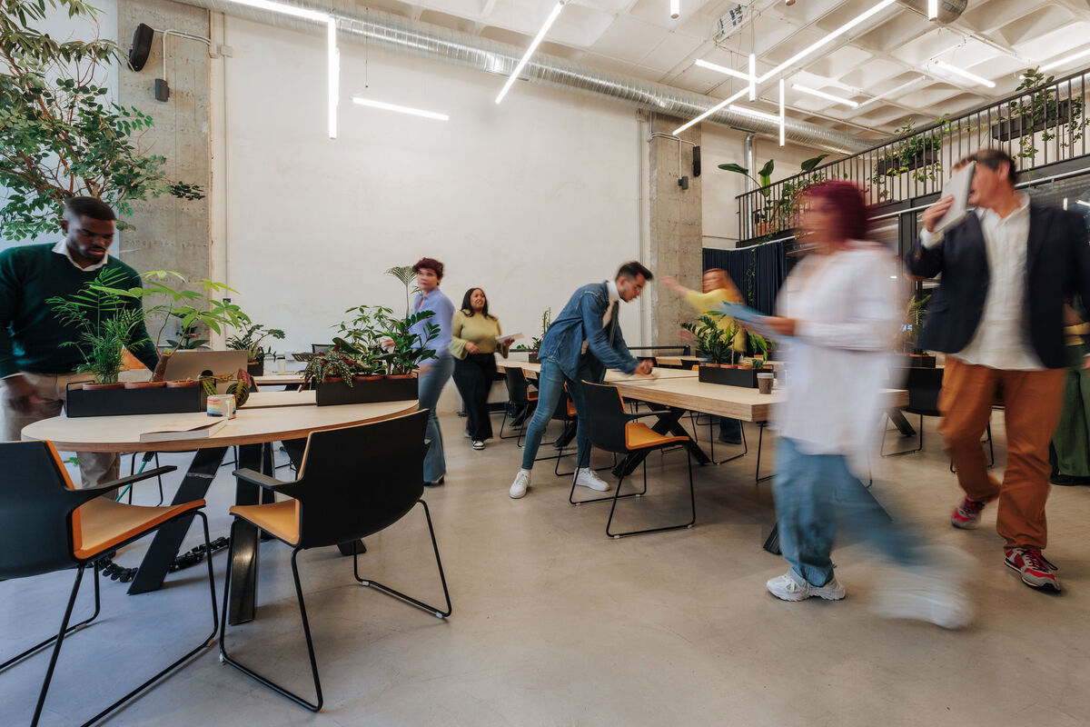 Coworkers moving around, collaborating, and using laptops in a dynamic office environment filled with plants